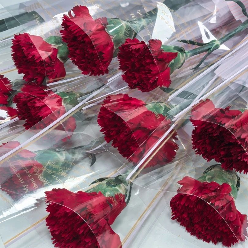 婦女節(jié) | 春風如你，熠熠芳華